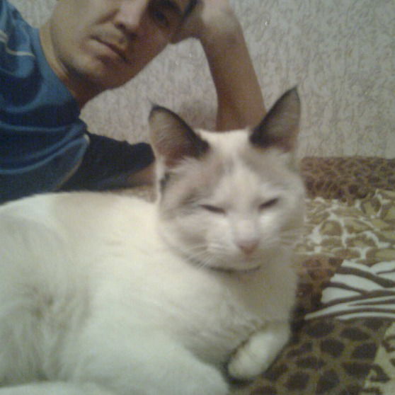 Раиль Галимов