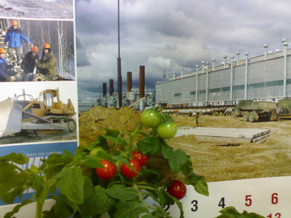 Владимир Коверзнев