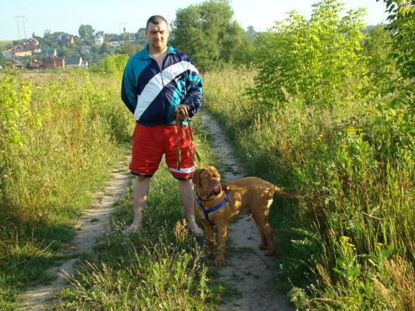 Алексей Эльтеков