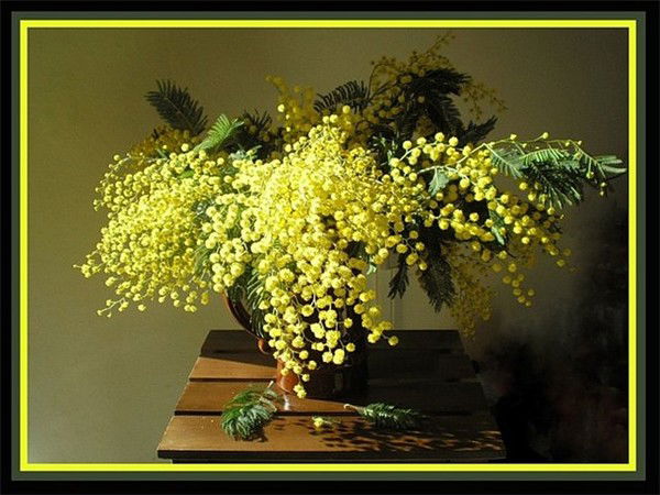 Наталья ***;-)))***