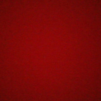 Рустам Шведов