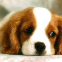 Мария Олютина