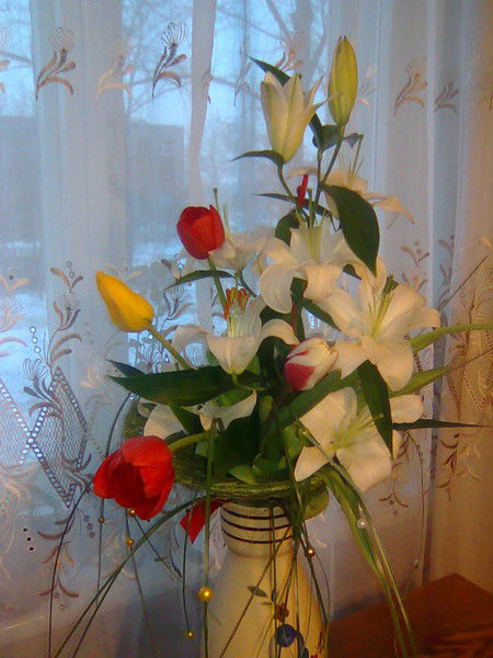 Ольга Кузнецова