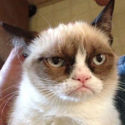 Саша Щербаков