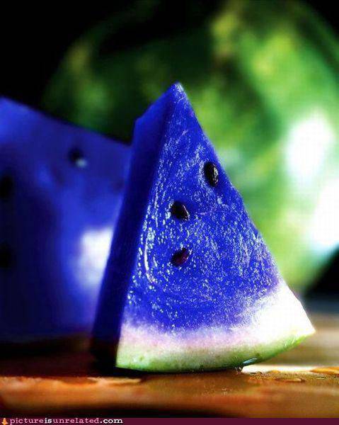 Николай Попутников