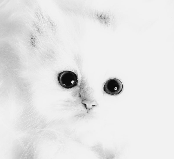 Marina Cherednichenko