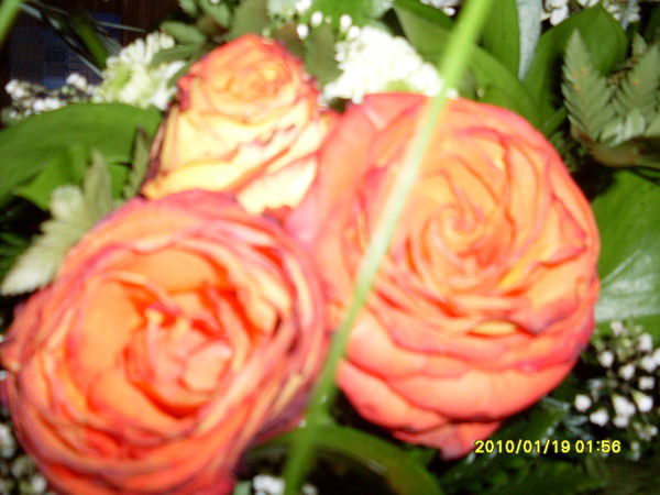 Анна Масалова