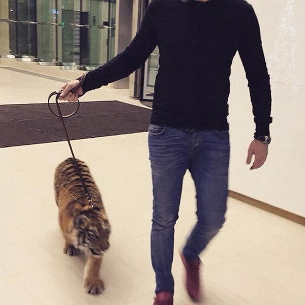 Данияр Каримов