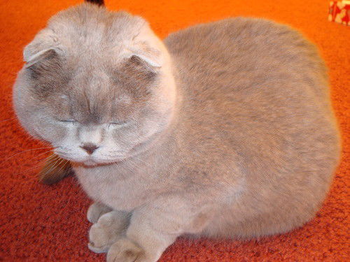 Галина Хромова