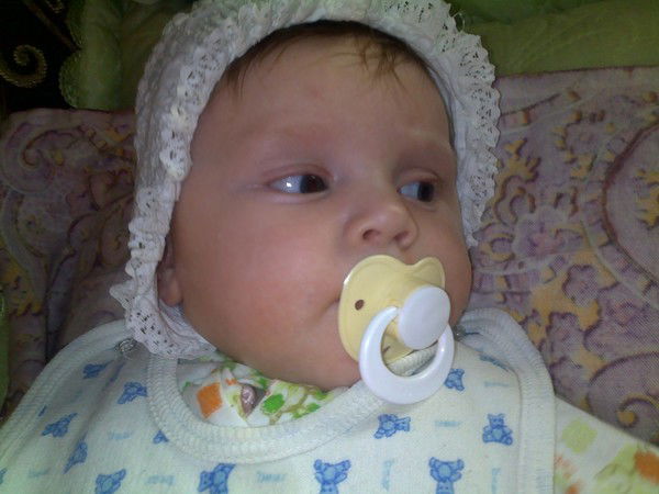 Дмитрий Тараканов