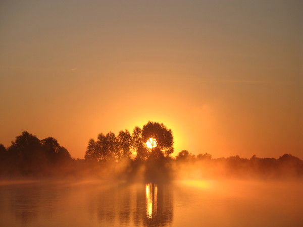 Роман Жидавленков
