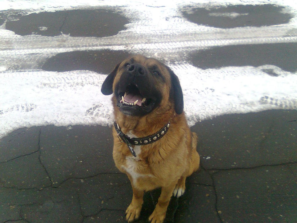 Юрий Ливенцев