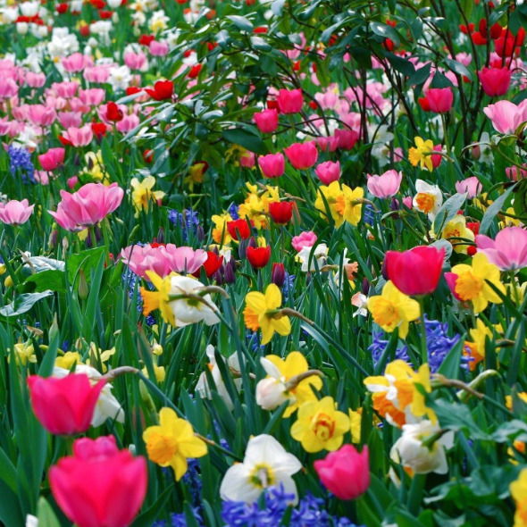 Наталья Степанова