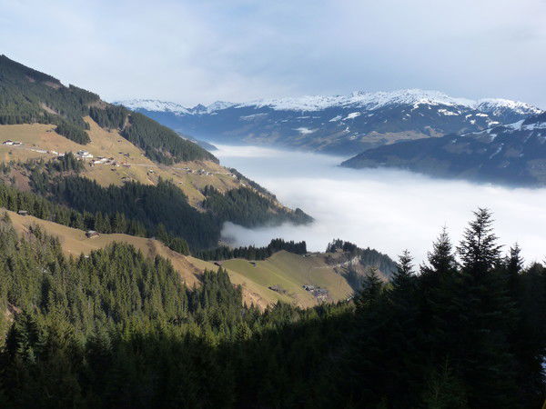 Марина Колондадзе