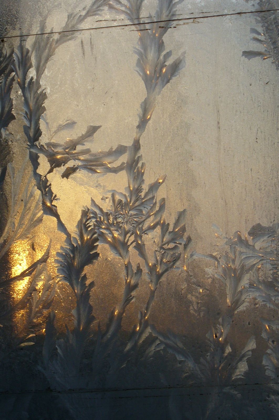 Гаврилов Георгий