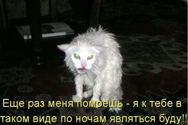 Ильгар Ильясов