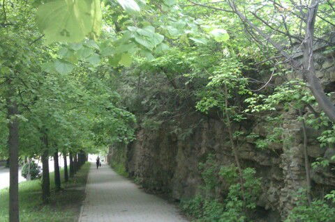 Саша Рыбников