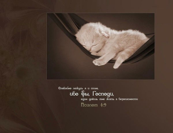 Елена Максименко