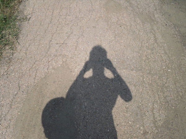 Василий Грачев