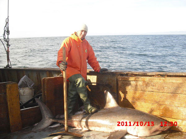 Павел Мартынов