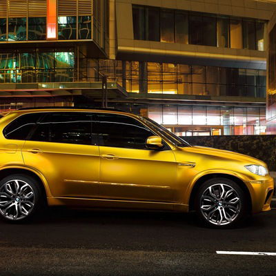 Максим Медведев