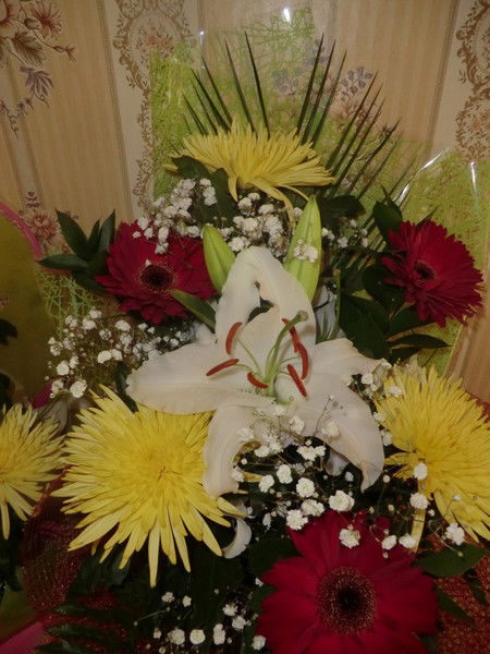 Инна Верхоланцева