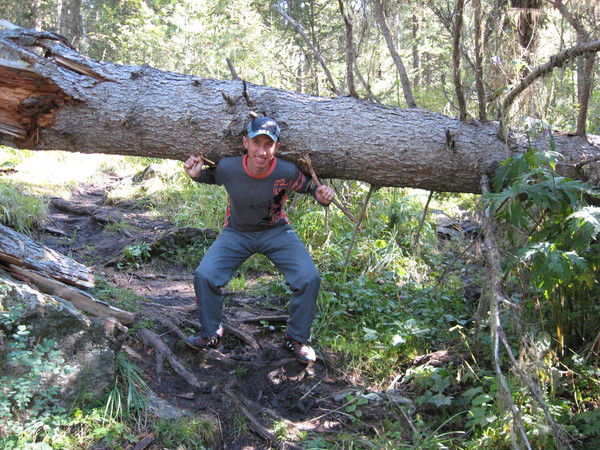 Сергей Забелин