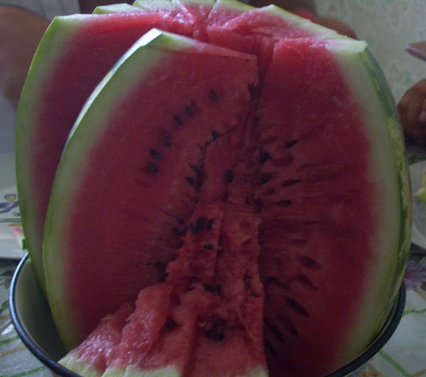 Андрей Коновалов