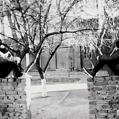 Ростислав Подгорнов