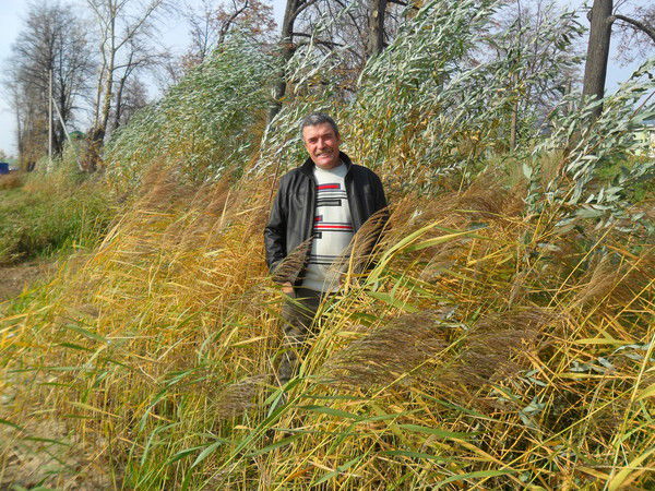 Пётр Кристев