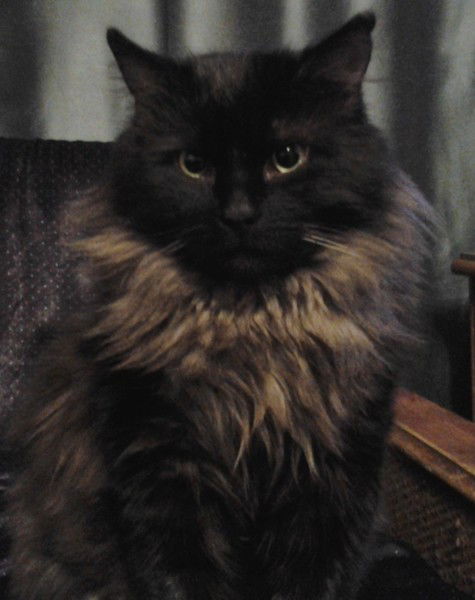 Владислав Аузяк