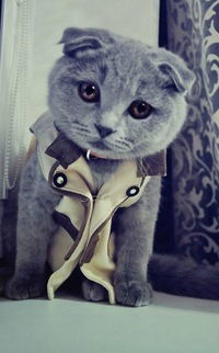 Маша Футина