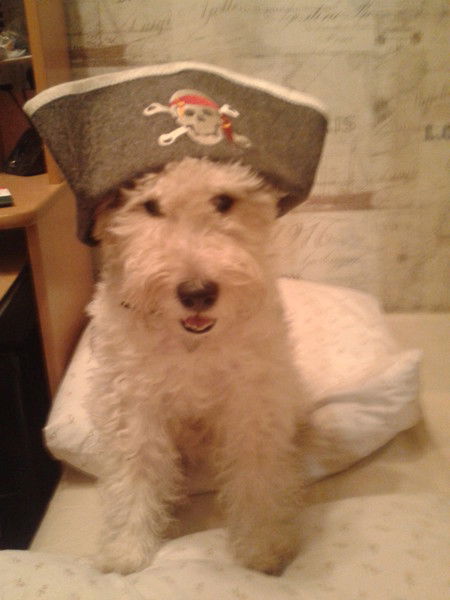 Женя Муравьёв