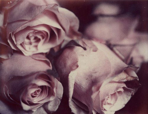 Ольга Гонебникова