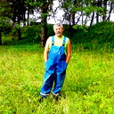 Владимир Царев