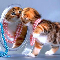 Ольга Михайлова