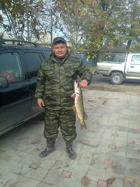 Александр Сосин