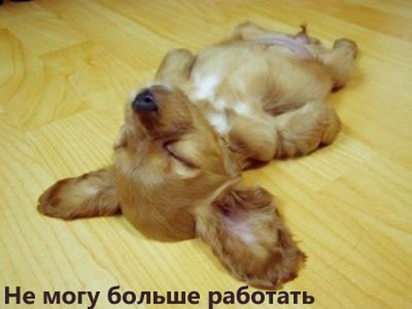 Виталий Деревцов