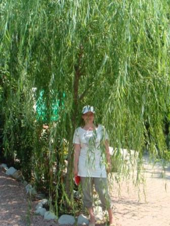 Татьяна Ерхова