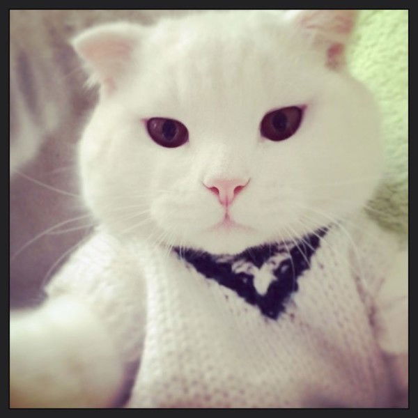 )))))))))))))))))))))) ************