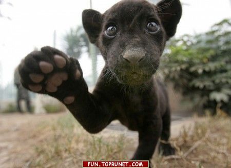 Юлия Шаповалова