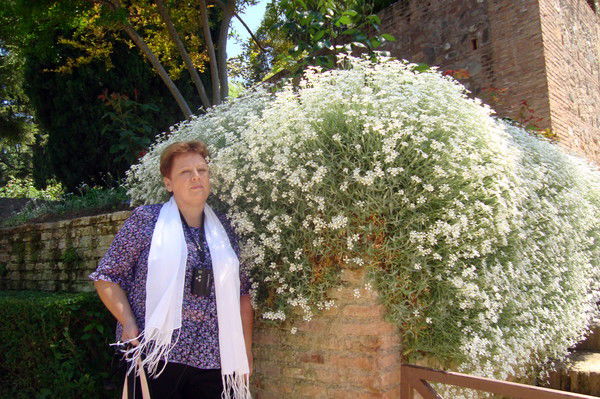 Наталья Родзевская