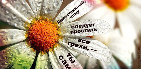 Лаура Иминова