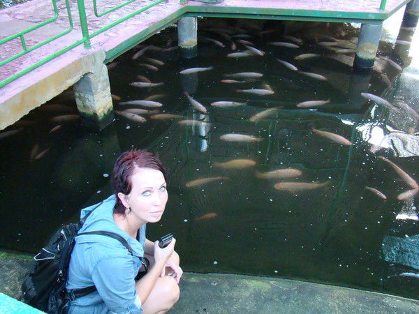 Елена Кирпиченко