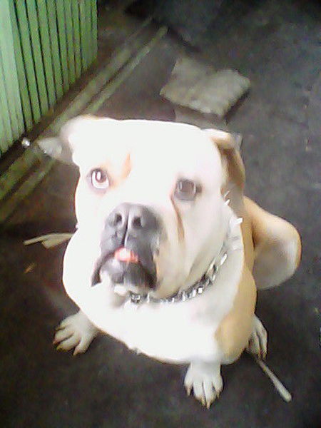 Алексей Черемисин