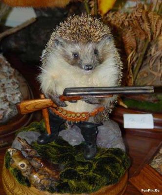 Данил Поляков