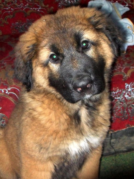 Татьяна Науменко