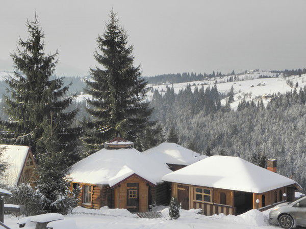 Юлия Островская