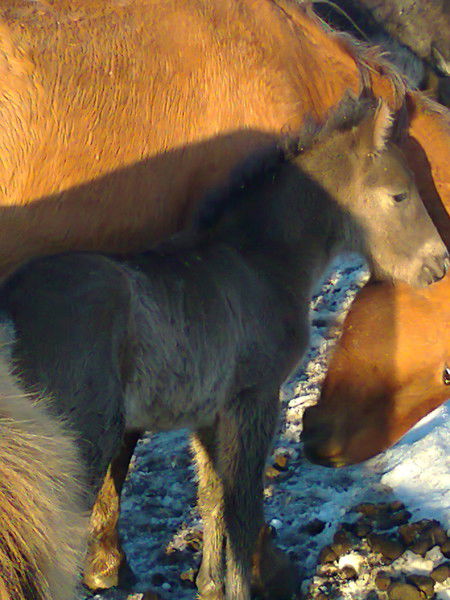 Ринат Кажкенов