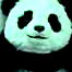 Mr. Panda